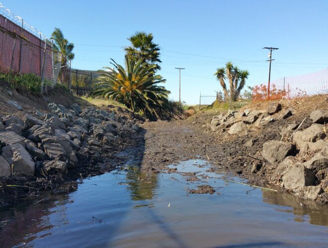 Photo of the Nestor Creek channel after cleanup