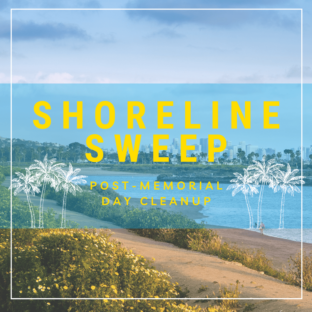 Shoreline Sweep